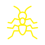 FORMIGAS