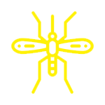 MOSQUITOS