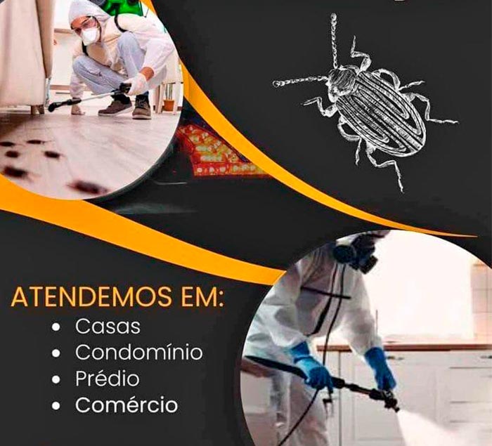 imagem dedetizadora desentupidora eficiência