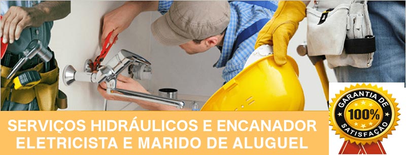 imagem intro carvalho